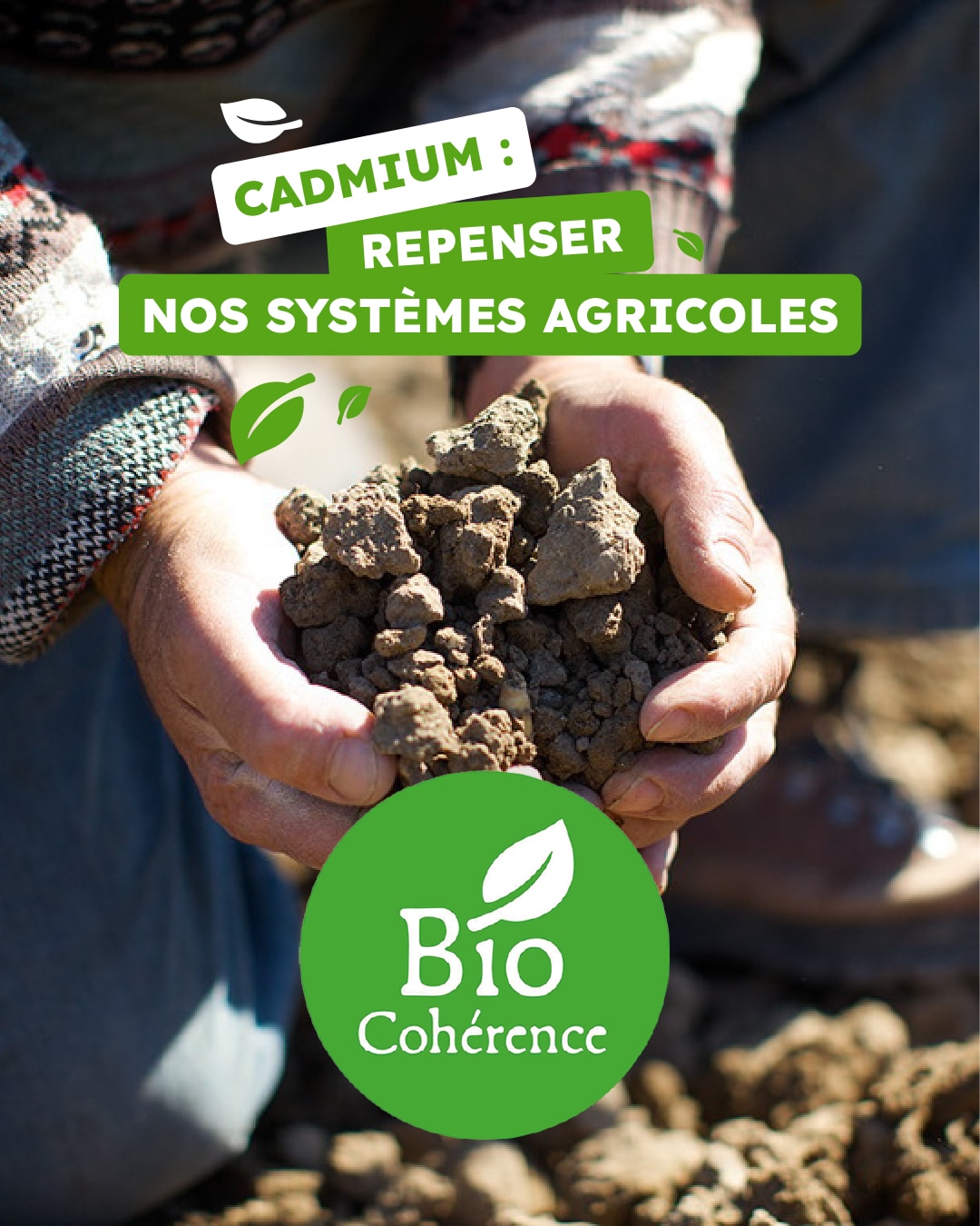 cadmium et agriculture biologique